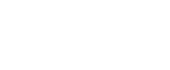 Nexi Software Logo